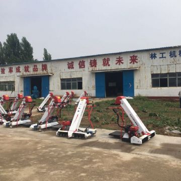 點(diǎn)擊查看詳細(xì)信息<br>標(biāo)題：裝袋機(jī) 閱讀次數(shù)：2503